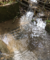 Photograph of a blocked gully